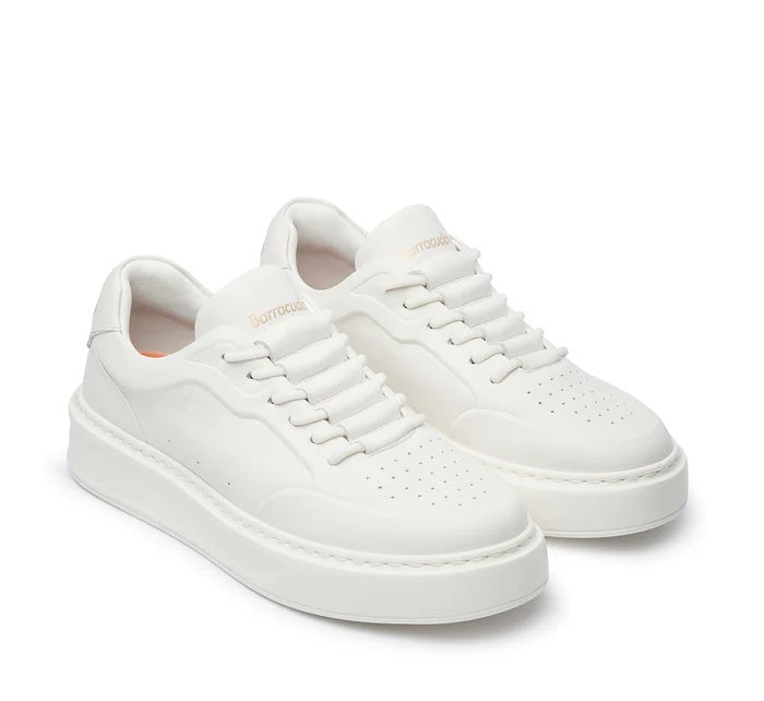 Sneakers Barrcuda