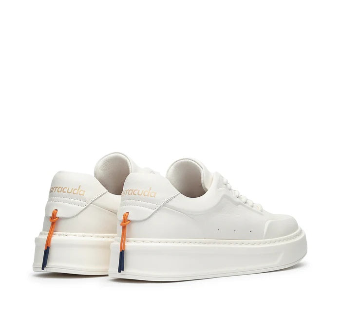 Sneakers Barrcuda