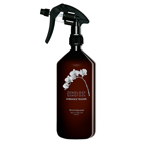 Zenologie Ambiente Orchidaceae