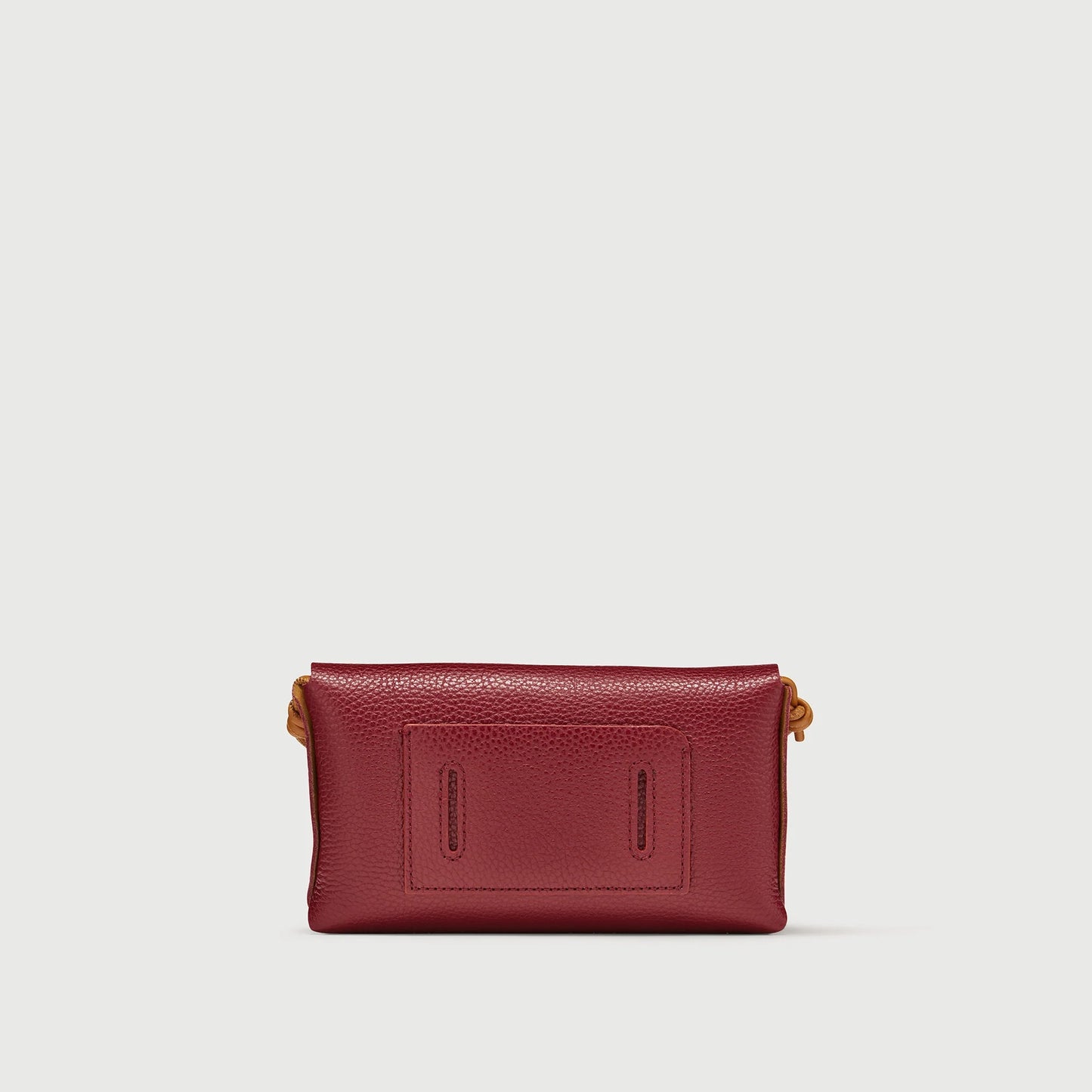 Postina Zanellato Lettera Daily